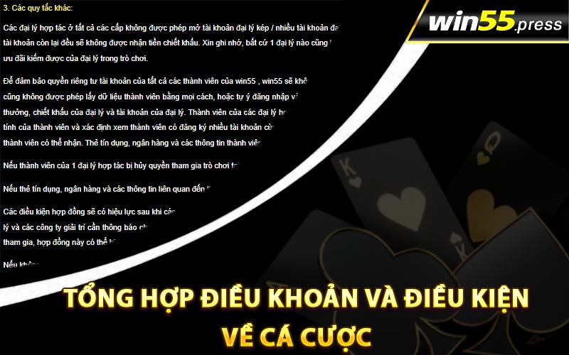 Tổng hợp điều khoản và điều kiện về cá cược