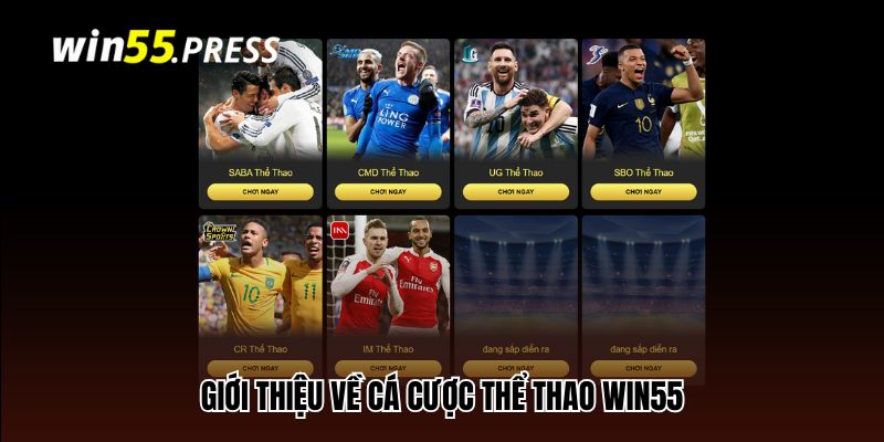the thao win55 gioi thieu Giới thiệu về cá cược thể thao tại Win55