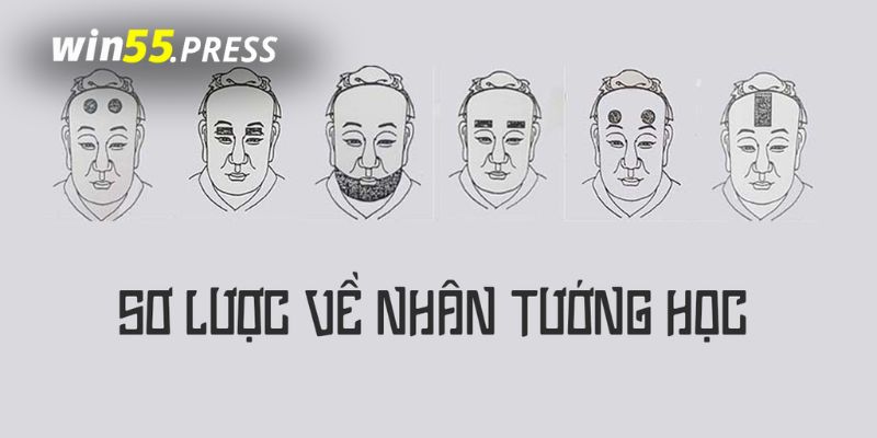 nhan tuong hoc (2)